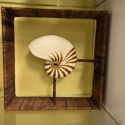 Wicker Framed Shell Decor